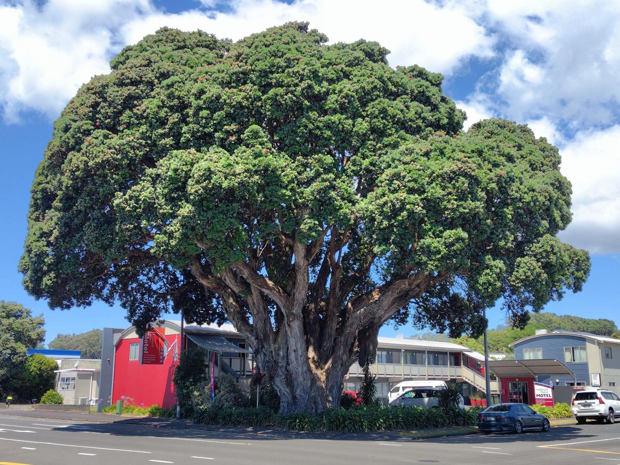 Landmark Manor New Plymouth Exteriér fotografie